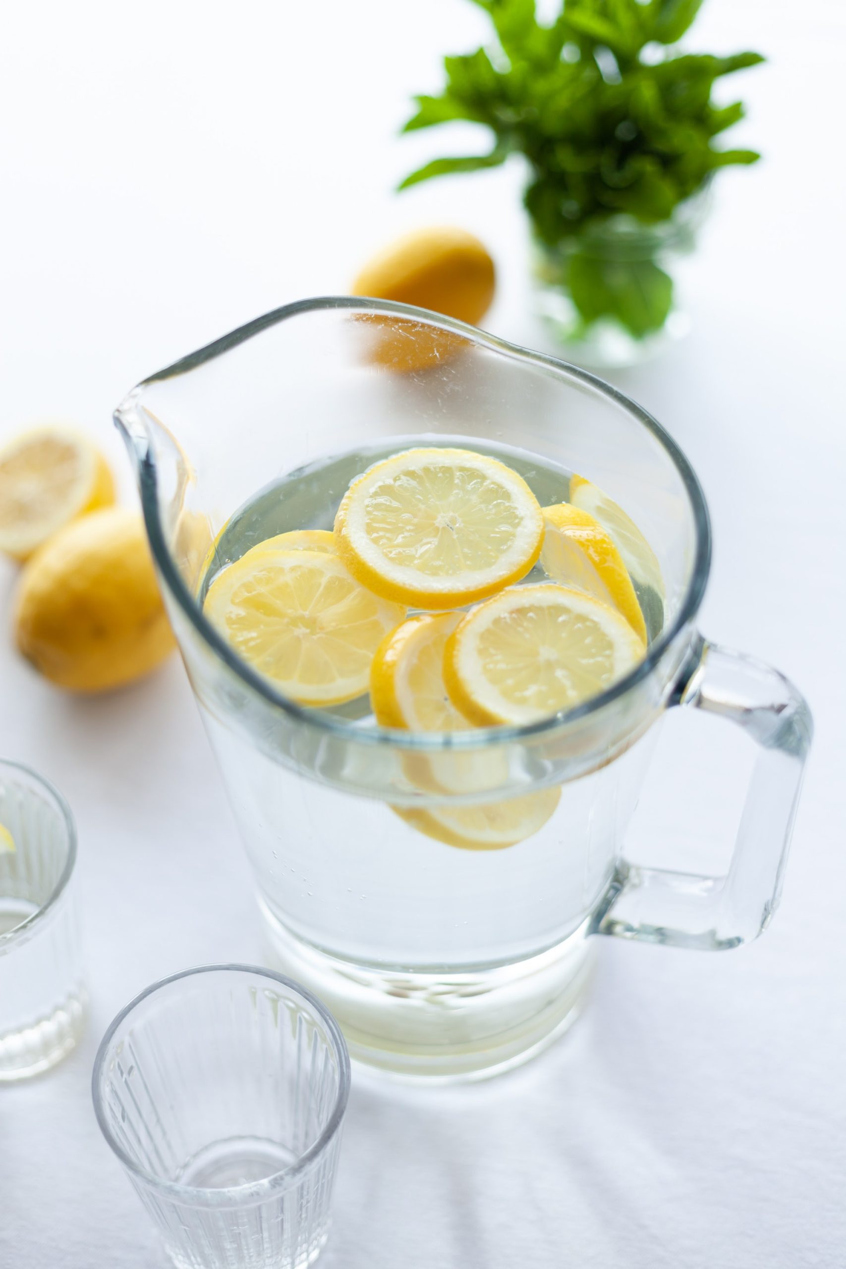 Hydration Wie wichtig ist Wasser? PLANTBUILT ATHLETES